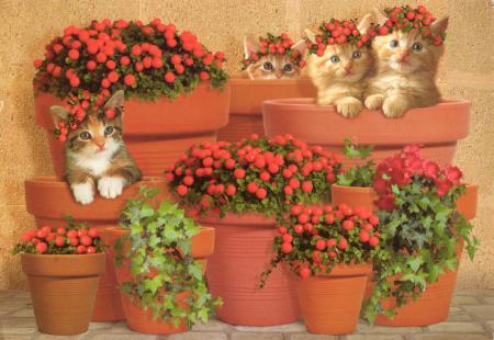 trooooooo chou!!!!!!!!!!!!!!!!!!!!!
